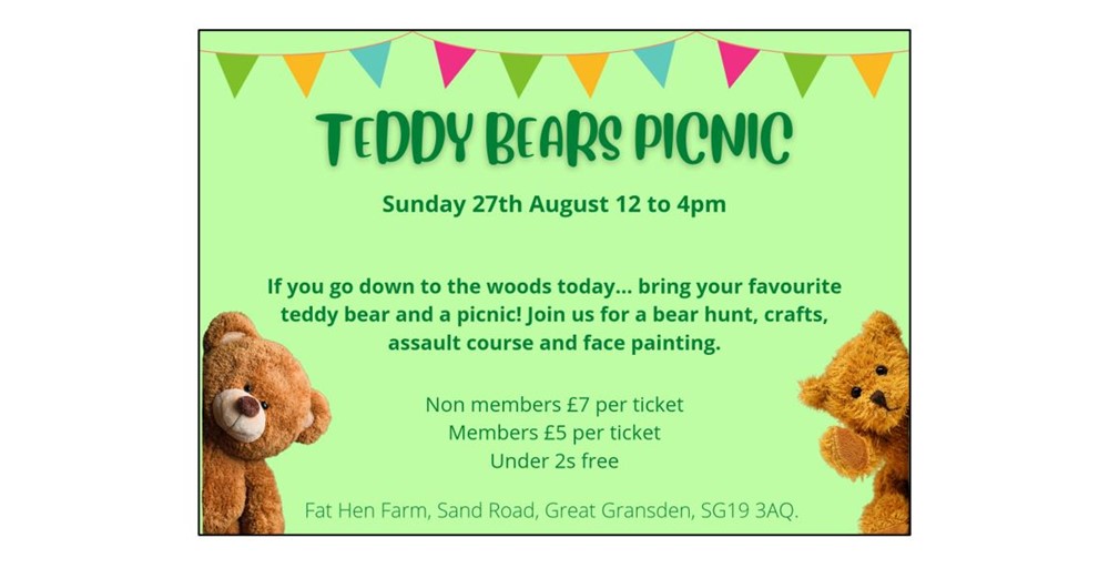 Teddy Bears Picnic
