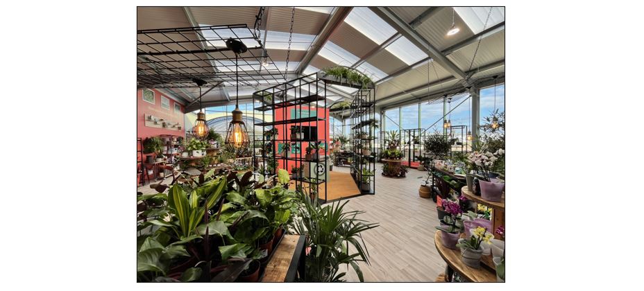 Bury Lane Farm Shop - houseplants