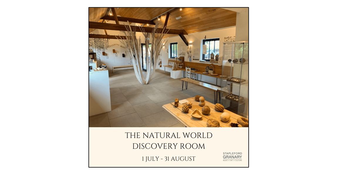 Natural World Discovery Room - Tree