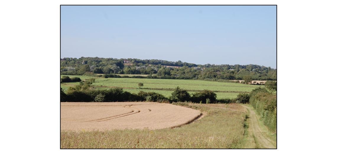 Coton Country Reserve landscape view