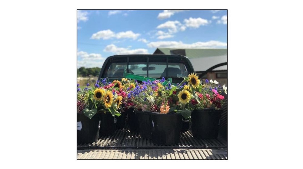 Flourish Farm Shop - Flowers and truck