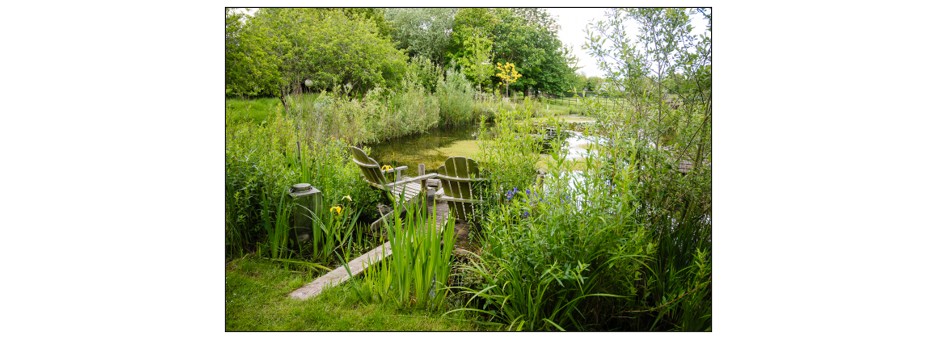 Green End Farm Open Garden
