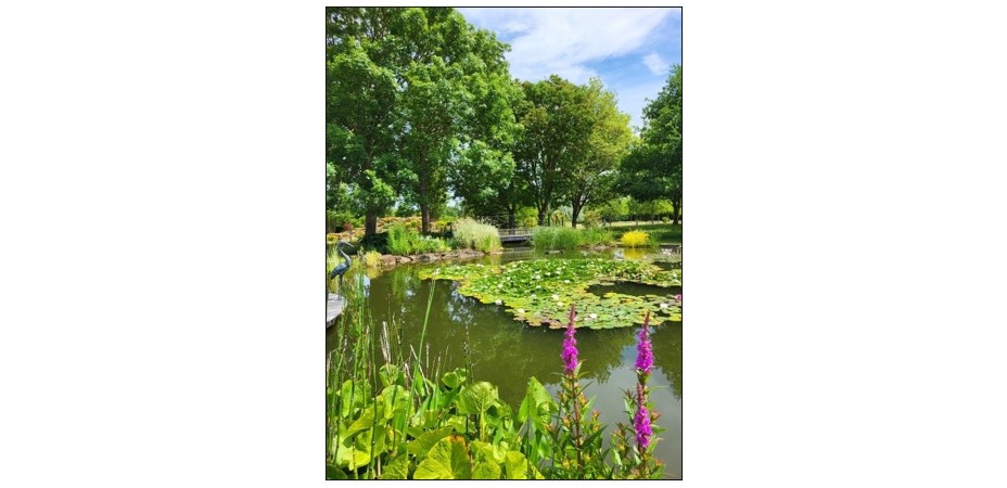 Bassingbourn Gardens