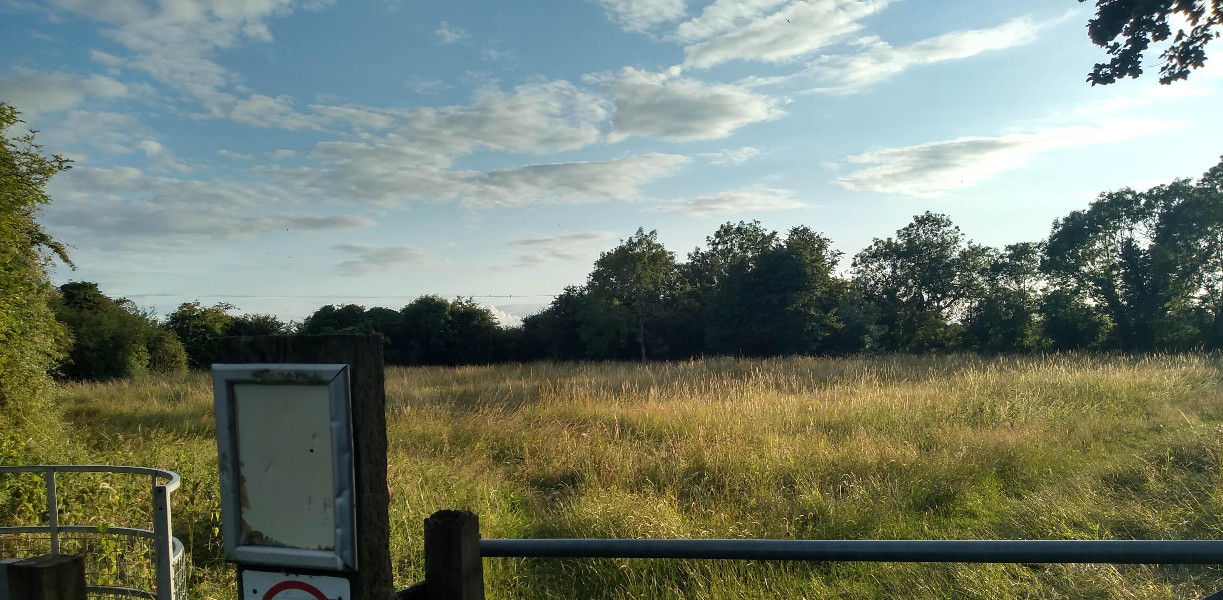 Town End Close Nature Reserve