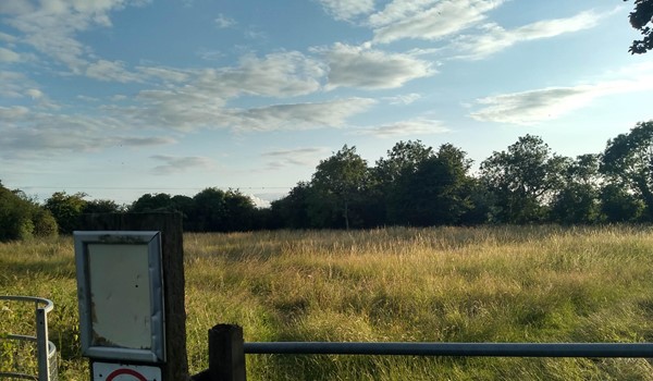 Town End Close Nature Reserve