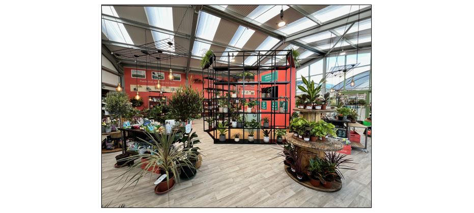 Bury Lane Farm Shop- houseplants