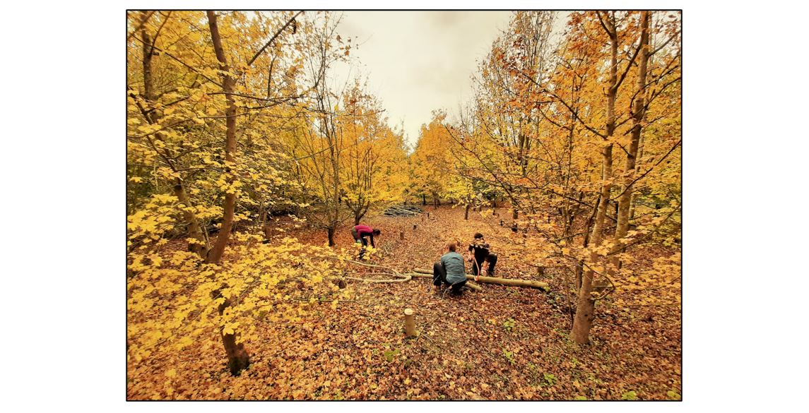 Wandlebury Country Park - work party