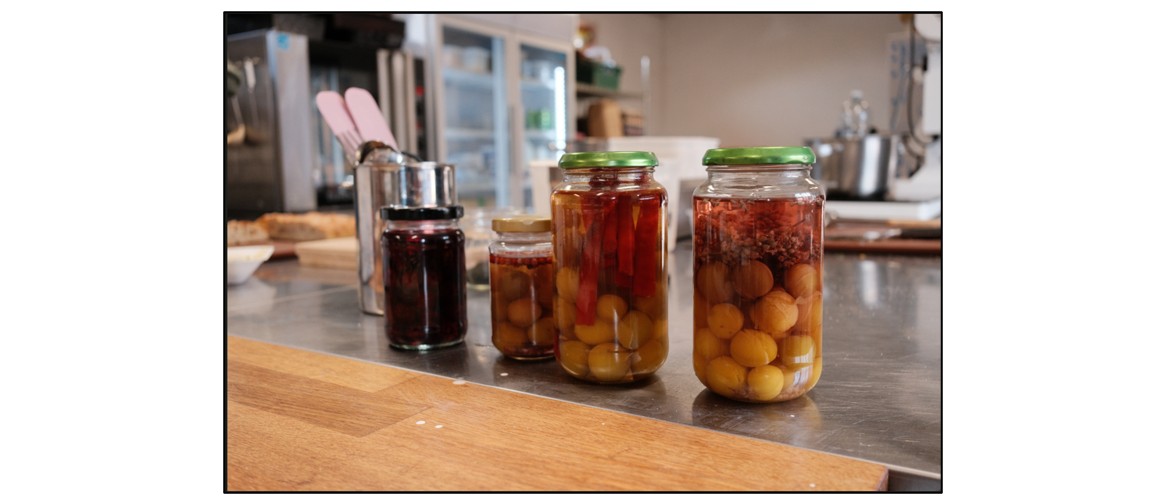 Foraging Workshops 