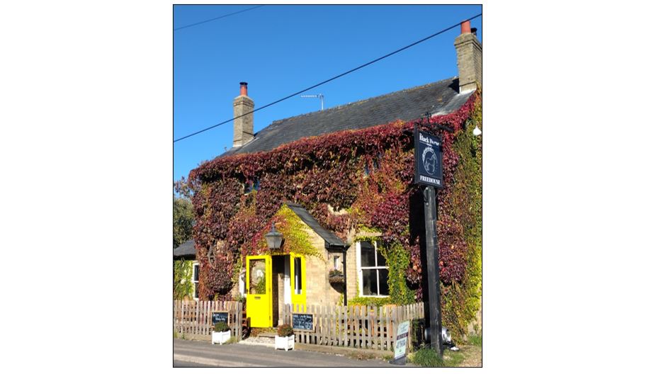 Black Horse - Exterior