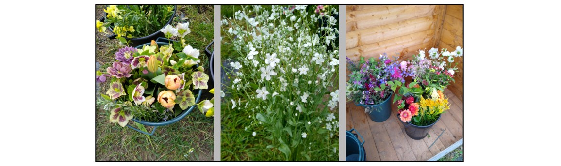 Grow Your Own Wedding Flowers