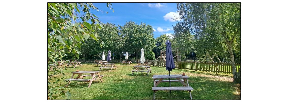 The White Swan - Garden