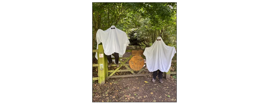 Trick or Treat Craft
