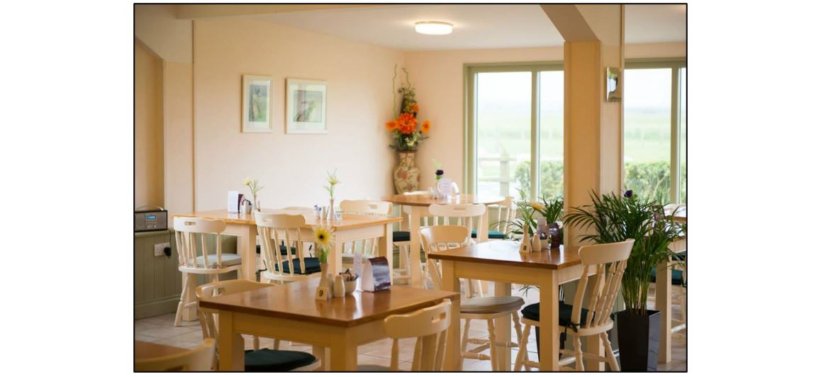 Woodview Café