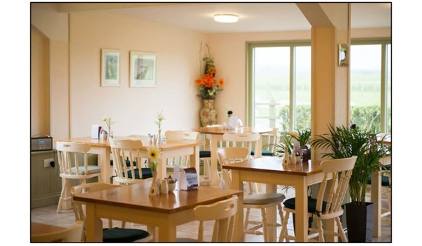 Woodview Café