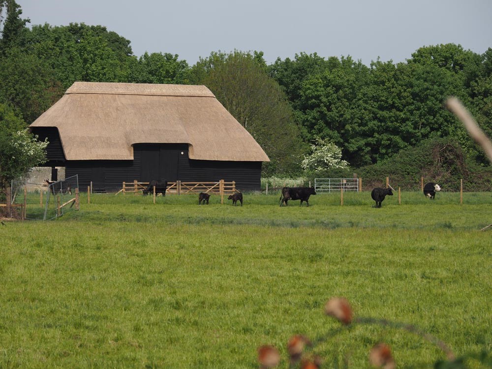 Tithe Barn view from field