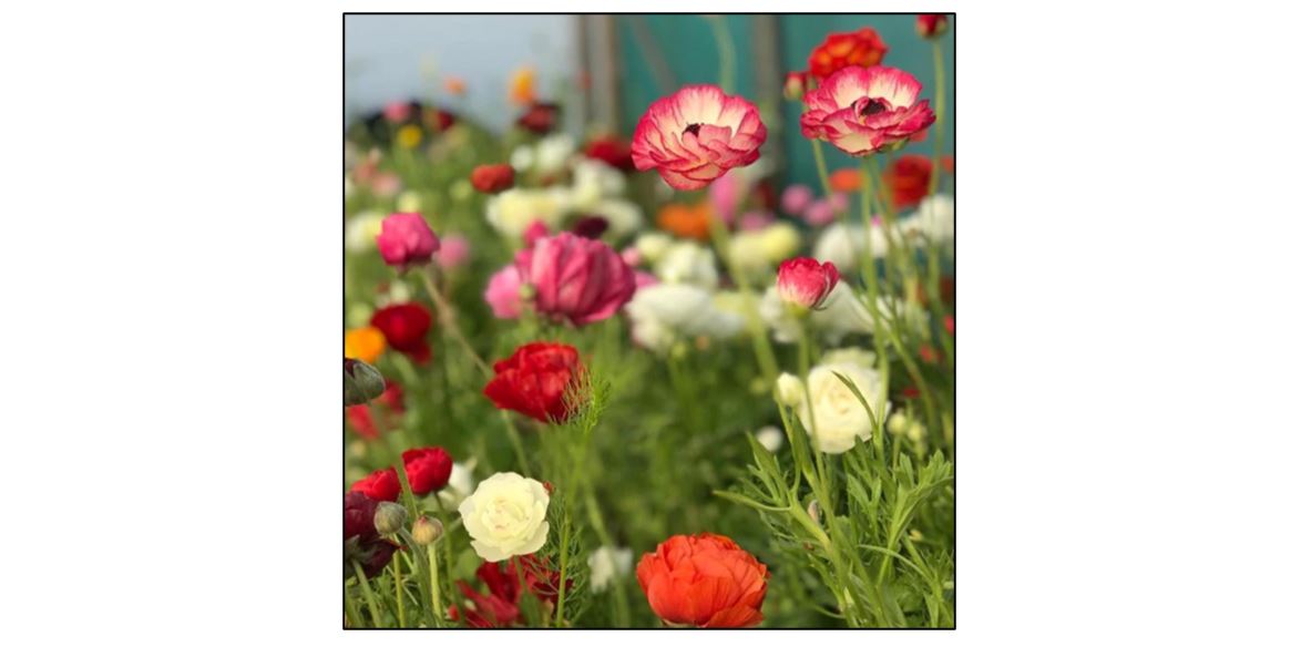 Spring Bouquet Tying Workshop