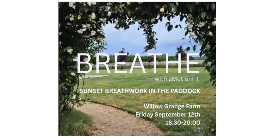 Sunset Breathwork with eMotionFit