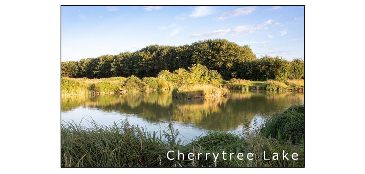 Lawn Farm Fisheries - Cherrytree