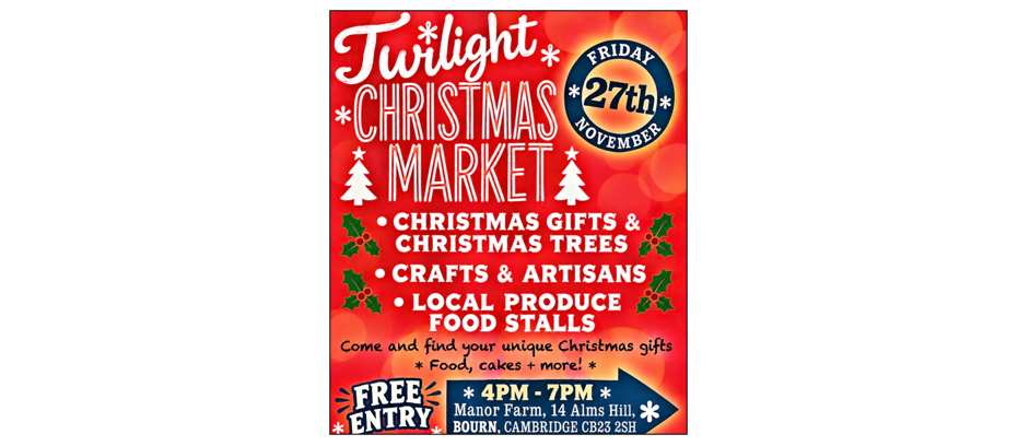Twilight Christmas Market