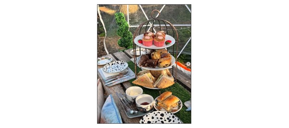 Highland Cow Cottage Experience 