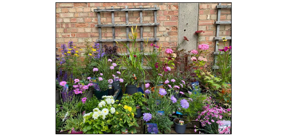 Darwin Nurseries and Farm Shop