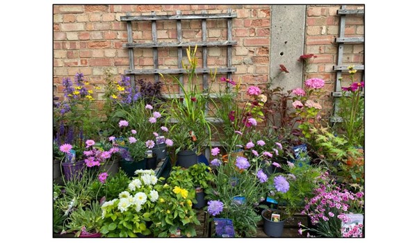Darwin Nurseries and Farm Shop