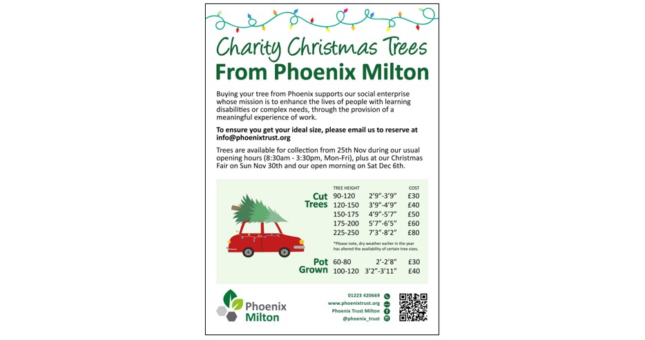 Christmas Fayre at Phoenix Milton