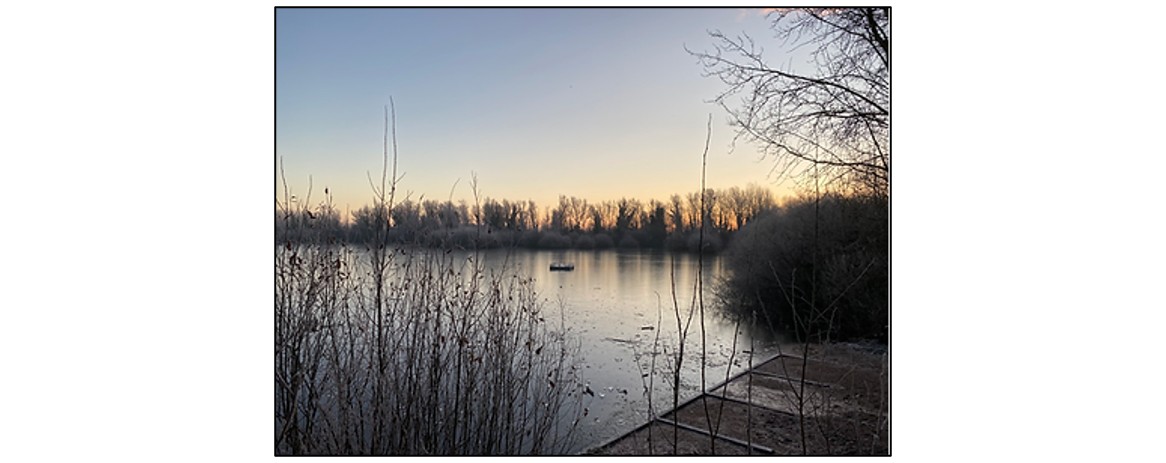 Bat Walk at Milton Country Park