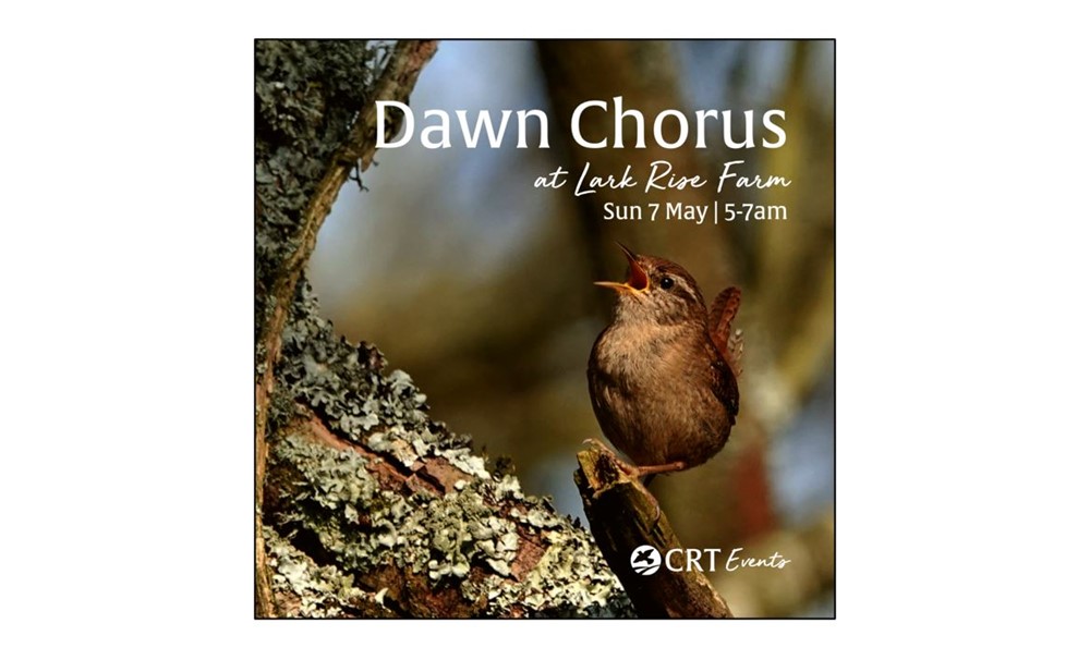Experience the Dawn Chorus