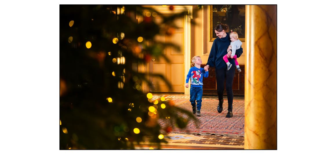 Sensational Christmas at Wimpole - family and tree