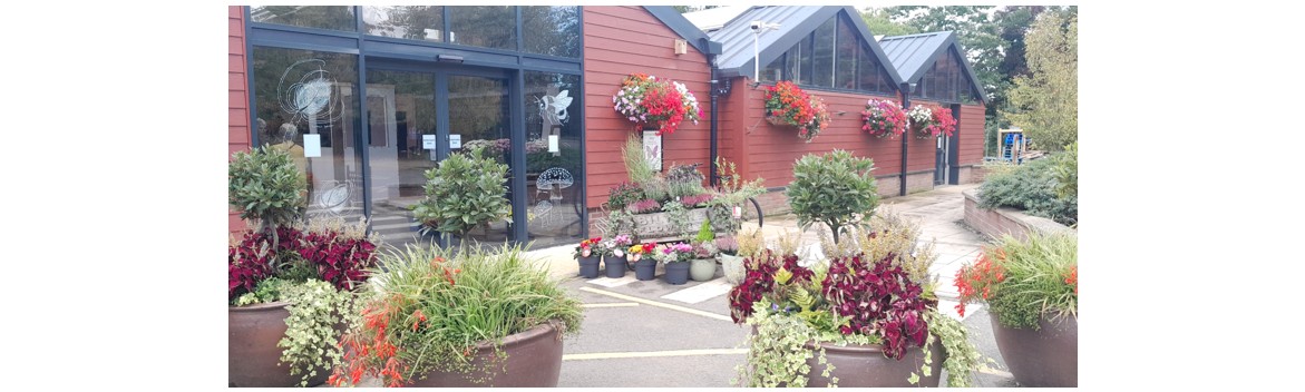 Oakington Garden Centre and The Olive Tree Café