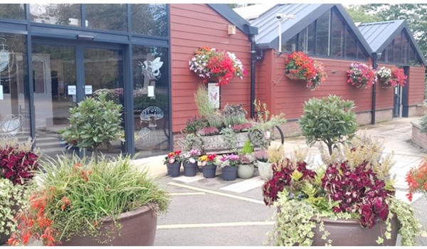 Oakington Garden Centre and The Olive Tree Café