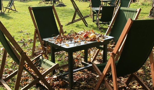 The Orchard Tea Garden