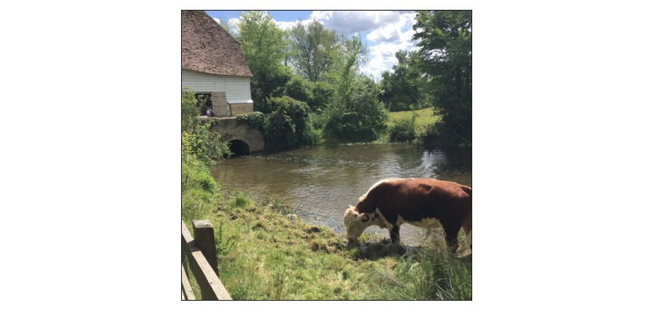 Hinxton Watermill - visitors Hinxton Watermill - Mill