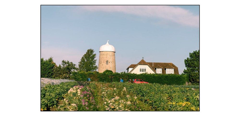 Flourish Farm Shop - Crops and Flowers
