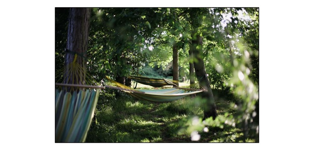 PAUS - hammocks