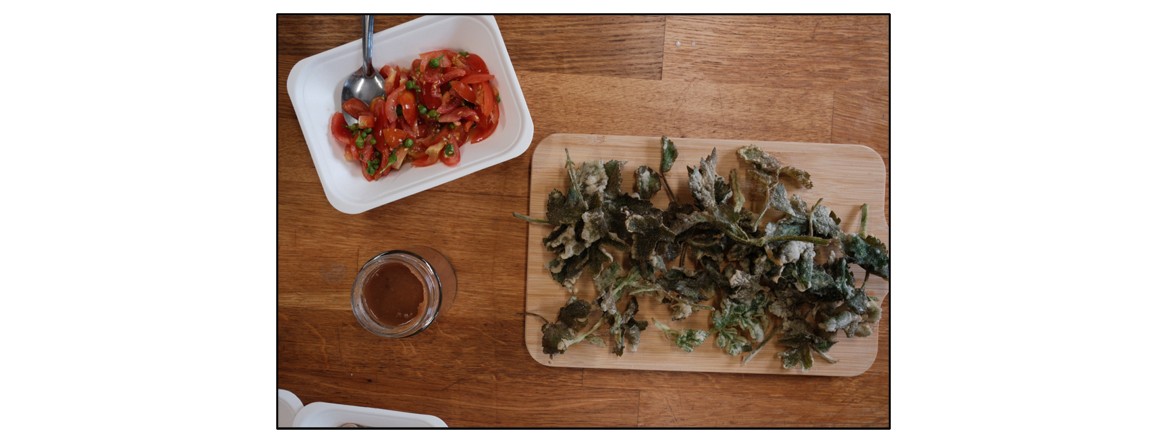 Foraging Workshops
