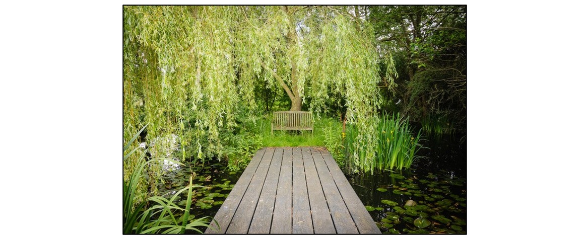 Green End Farm Open Garden
