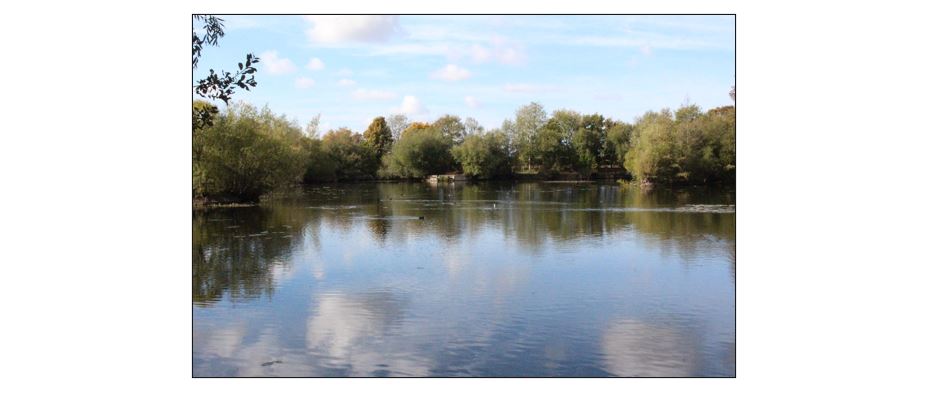 Waterbeach Angling Club - Leland Water