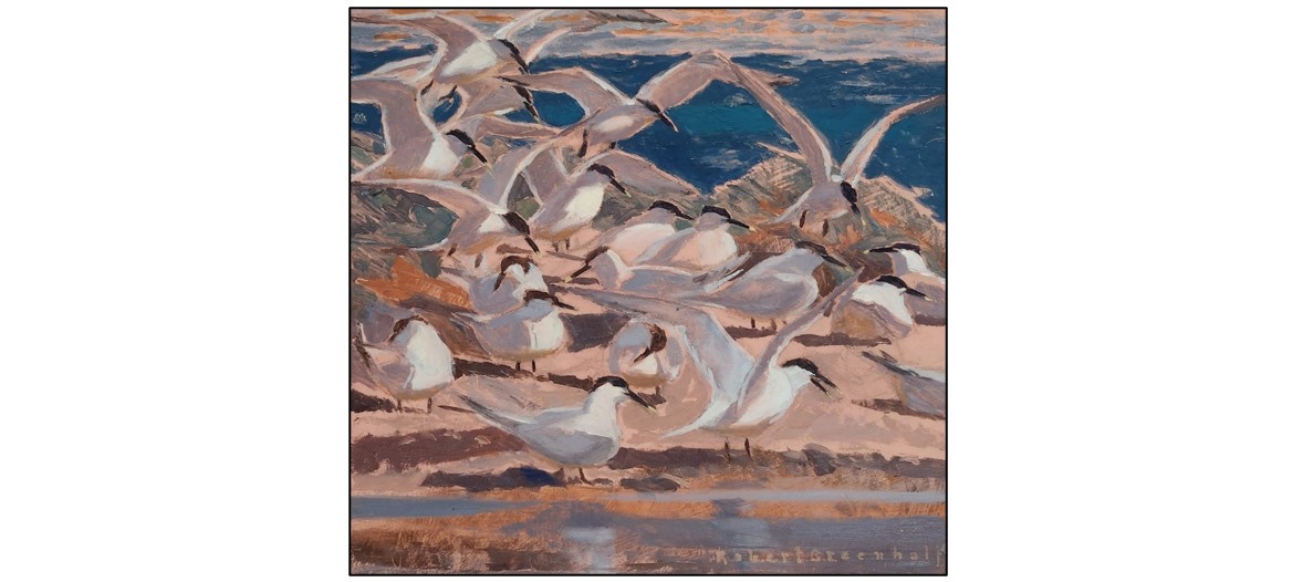 Exhibition - Artists in the Natural World  - seagulls