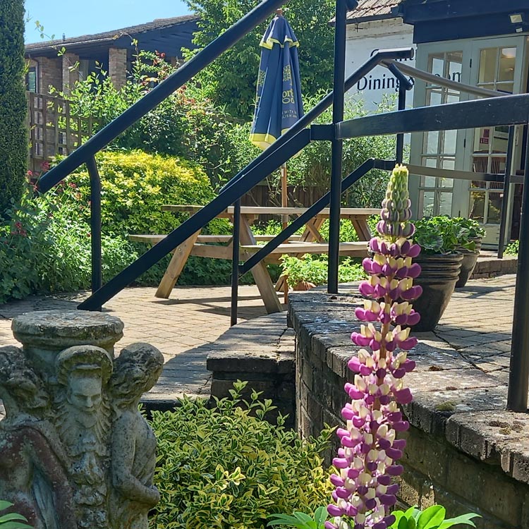 The Golden Ball Inn Boxworth, outdoor