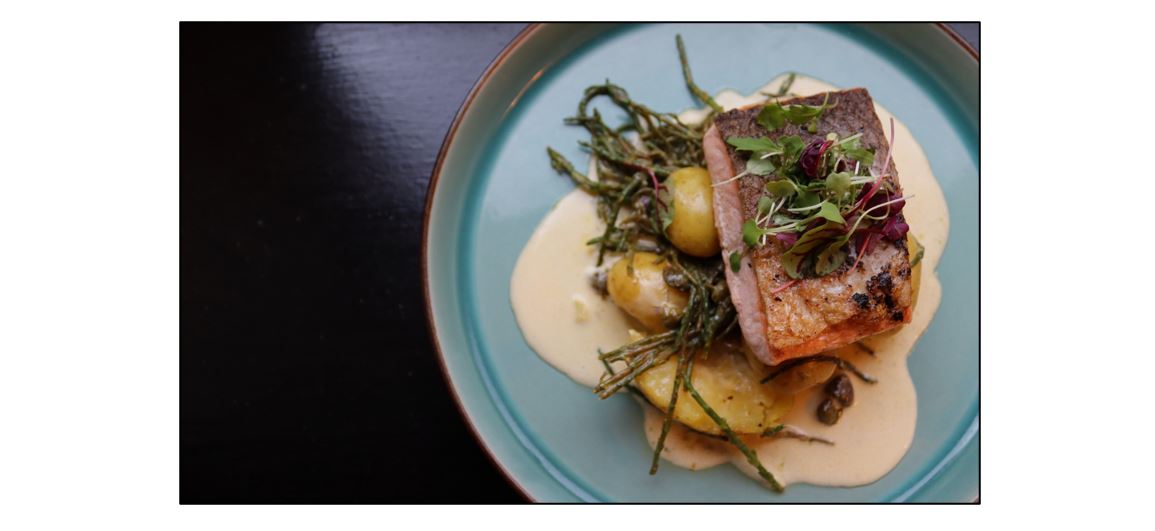 The Pheasant - salmon