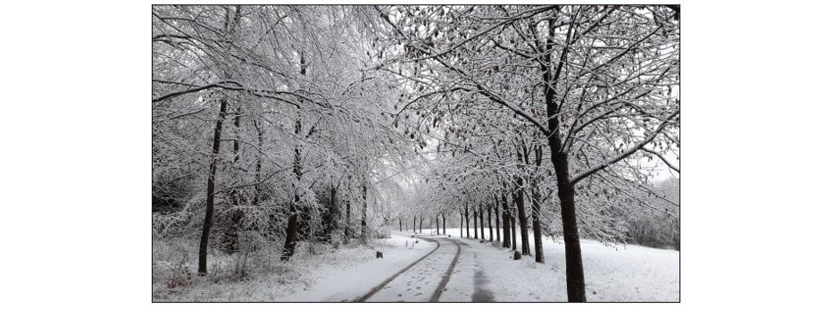 Once Around Wandlebury