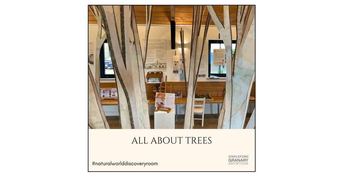 Natural World Discovery Room - All About Trees
