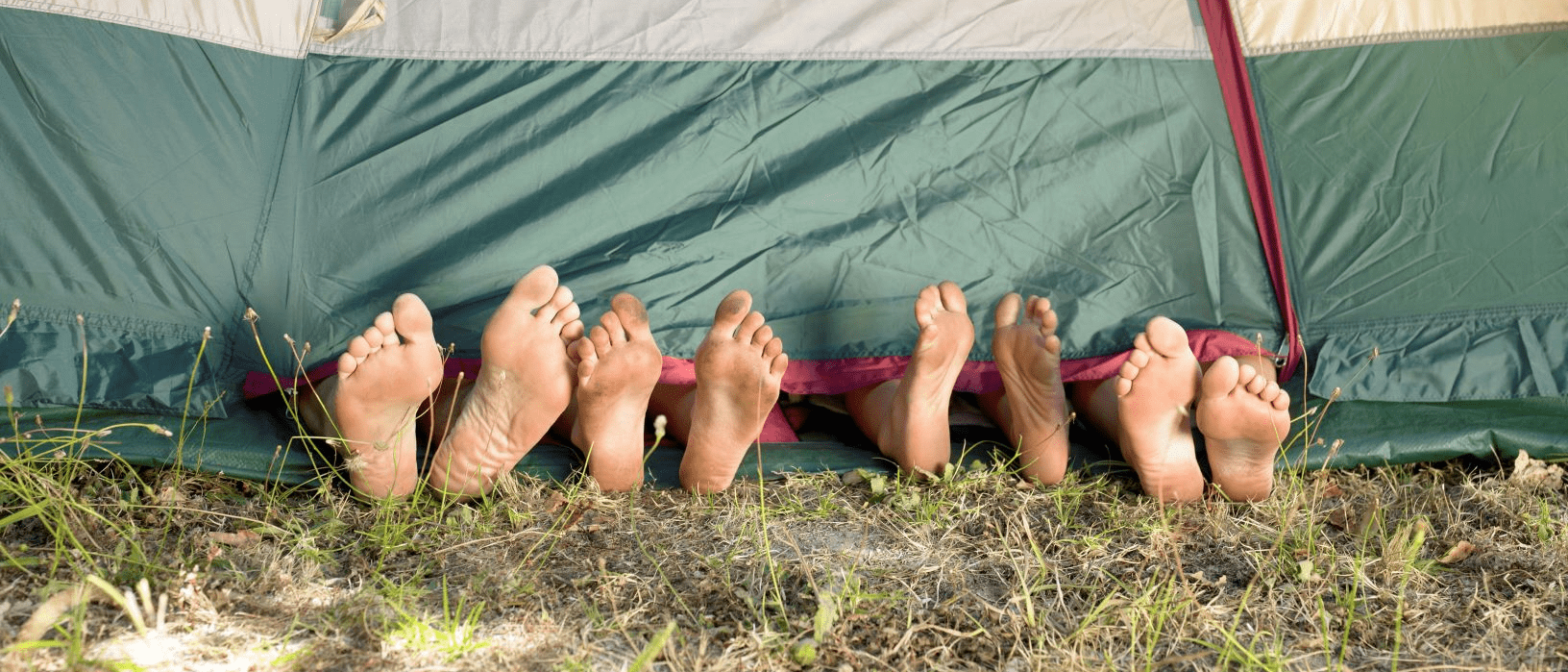 Wild(ish) Camping for Groups at RSPB Fen Drayton