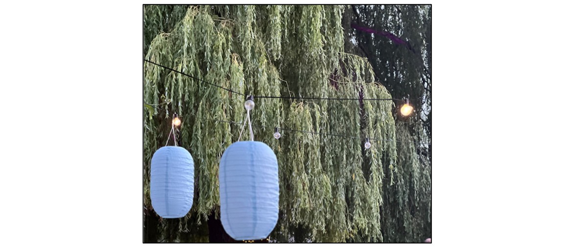 Bamboo Sky - lanterns