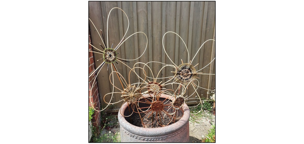 Family Willow Workshops 