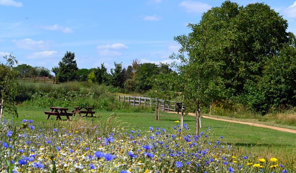 Millbridge Brook Meadows Park