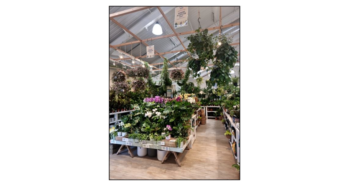 Coton Orchard Garden Centre - Visit South Cambs