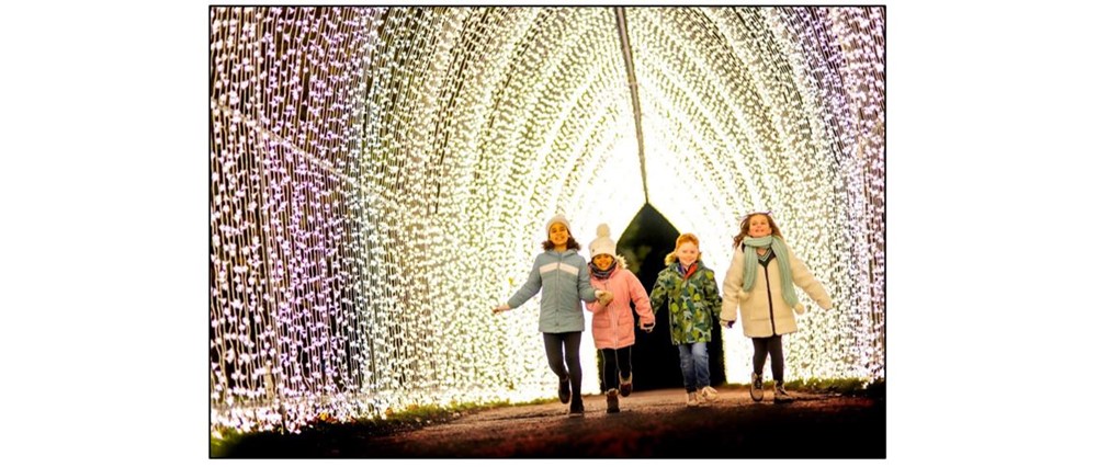 Christmas Illuminations Trail at Wimpole - cathedral kids